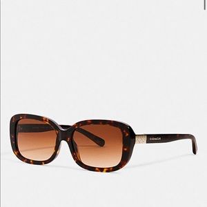 NEW Brown Coach Sunglasses with Case
